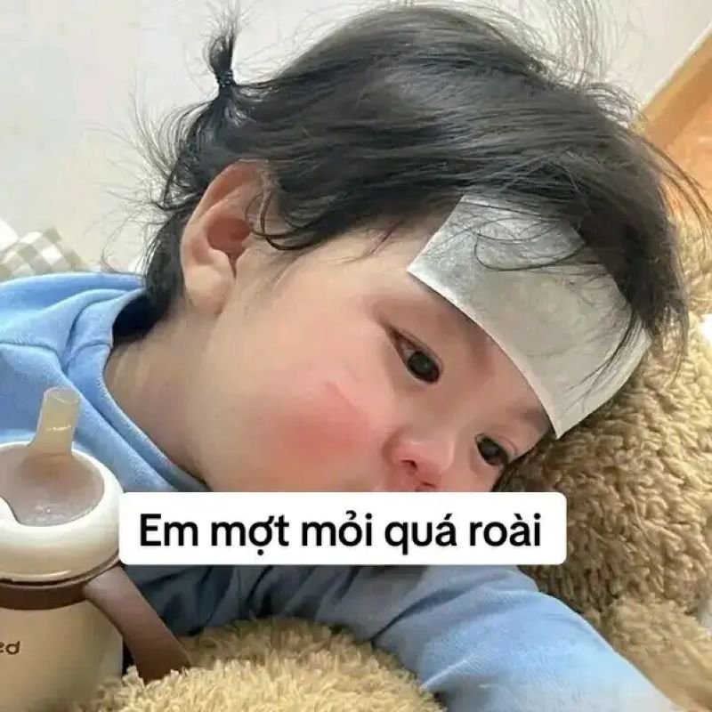 meme mệt mỏi khi bị deadline dí