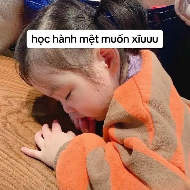 meme mệt mỏi muốn biến mất hôm nay