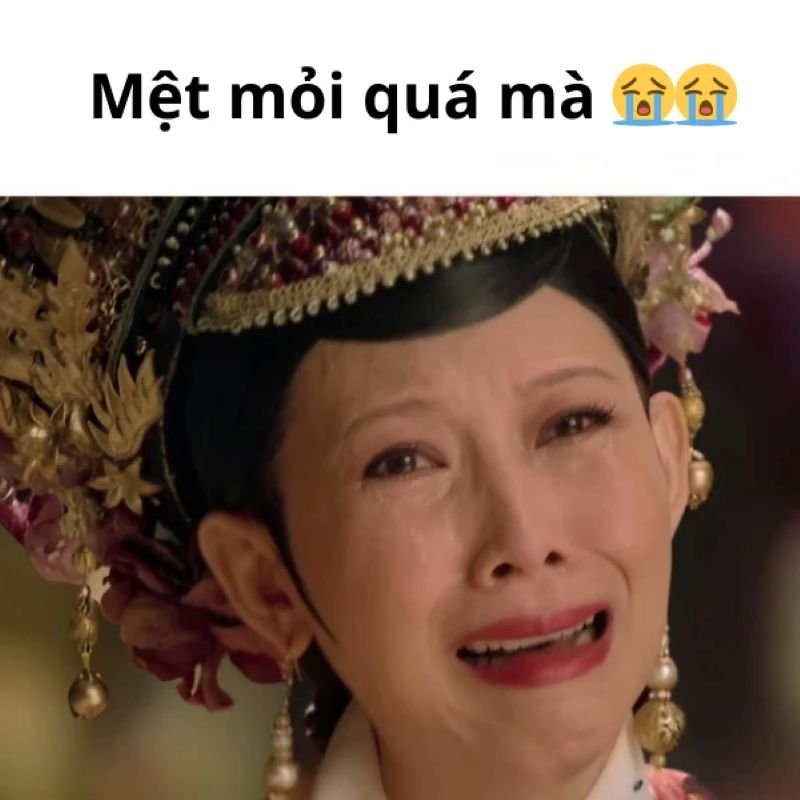 meme mệt mỏi muốn nằm cả ngày