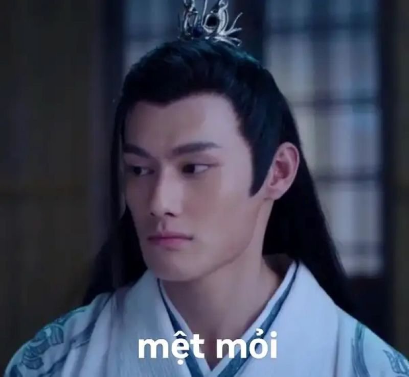 meme mệt mỏi muốn ngủ ngay lập tức