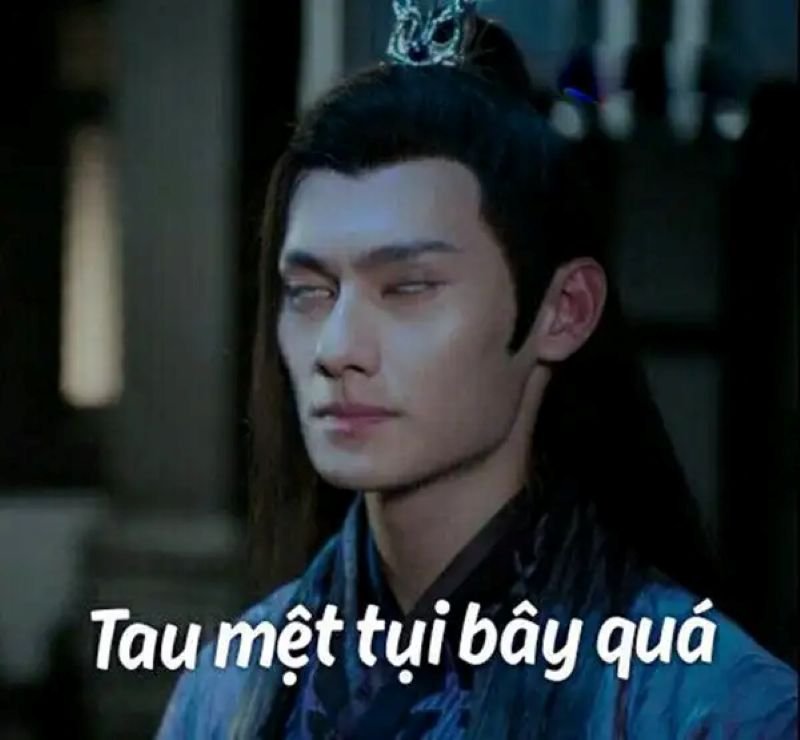 meme mệt mỏi nhìn mà thấy đúng