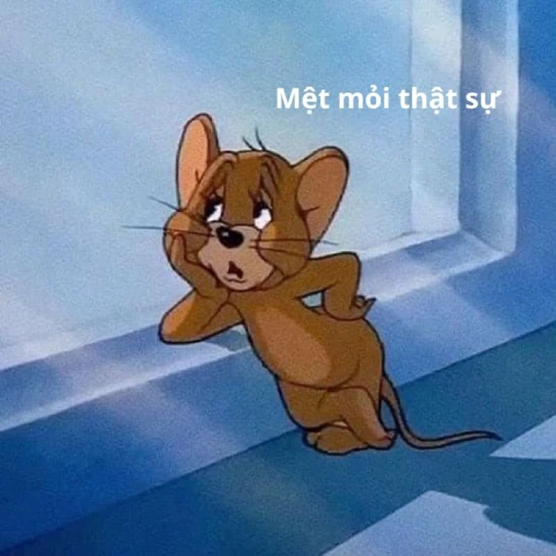 meme mệt mỏi sau ngày dài
