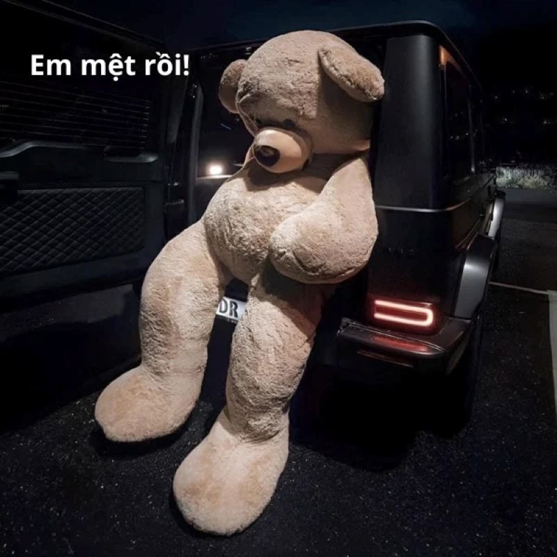 meme mệt mỏi vì cuộc sống
