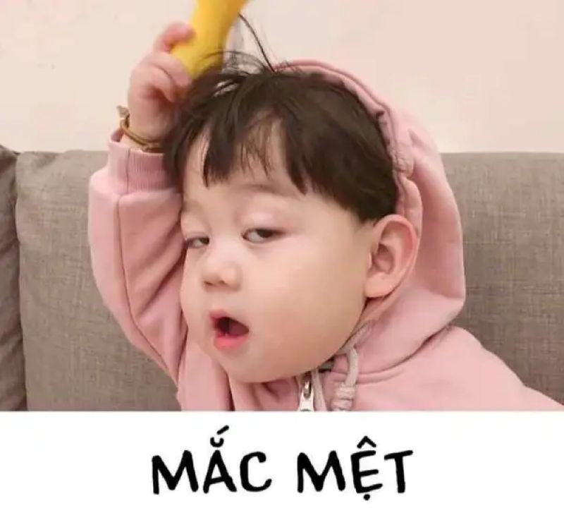 meme mệt mỏi vì deadline dí