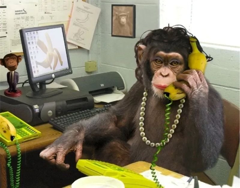 meme monkey ảnh chế hài hước nổi bật meme monkey ảnh chế hài hước nổi bật