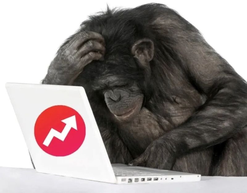 meme monkey ảnh meme hài hước cực mạnh meme monkey ảnh meme hài hước cực mạnh