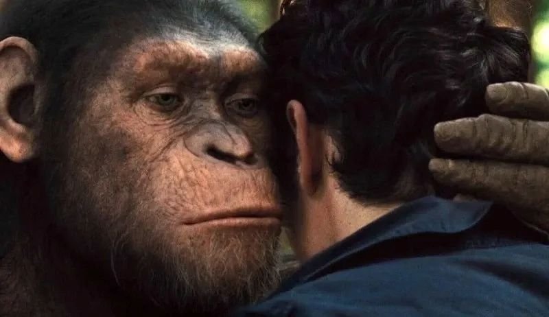 meme monkey reaction khiến ai cũng cười meme monkey reaction khiến ai cũng cười