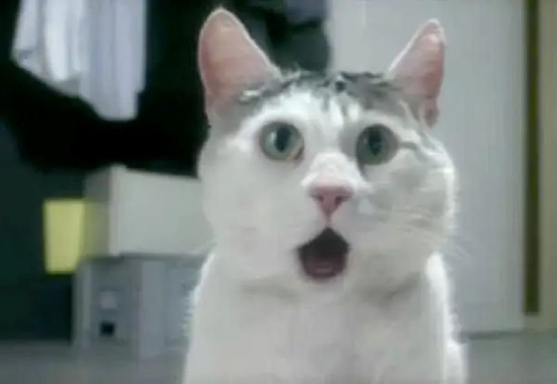 meme ngạc nhiên biểu cảm bất ngờ hài hước
