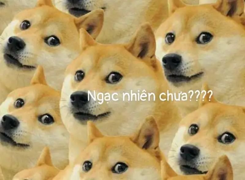 meme ngạc nhiên cực sốc khó tin