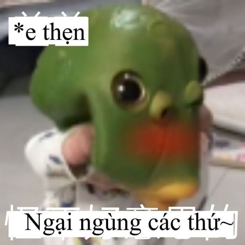 meme ngại cực đáng yêu cho gen z