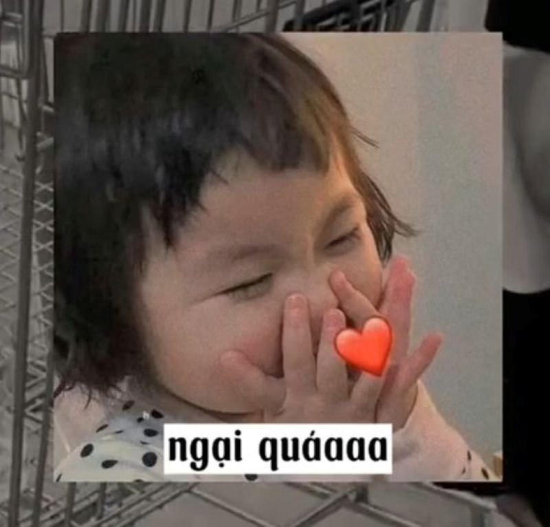 meme ngại đỏ mặt siêu cute
