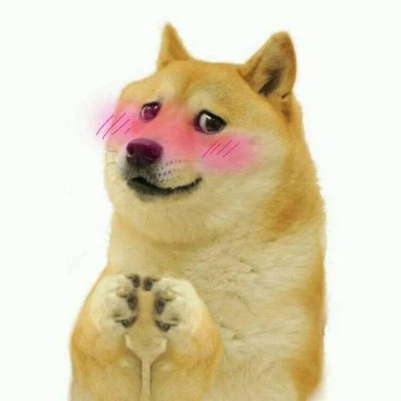 meme ngại khi bị phát hiện
