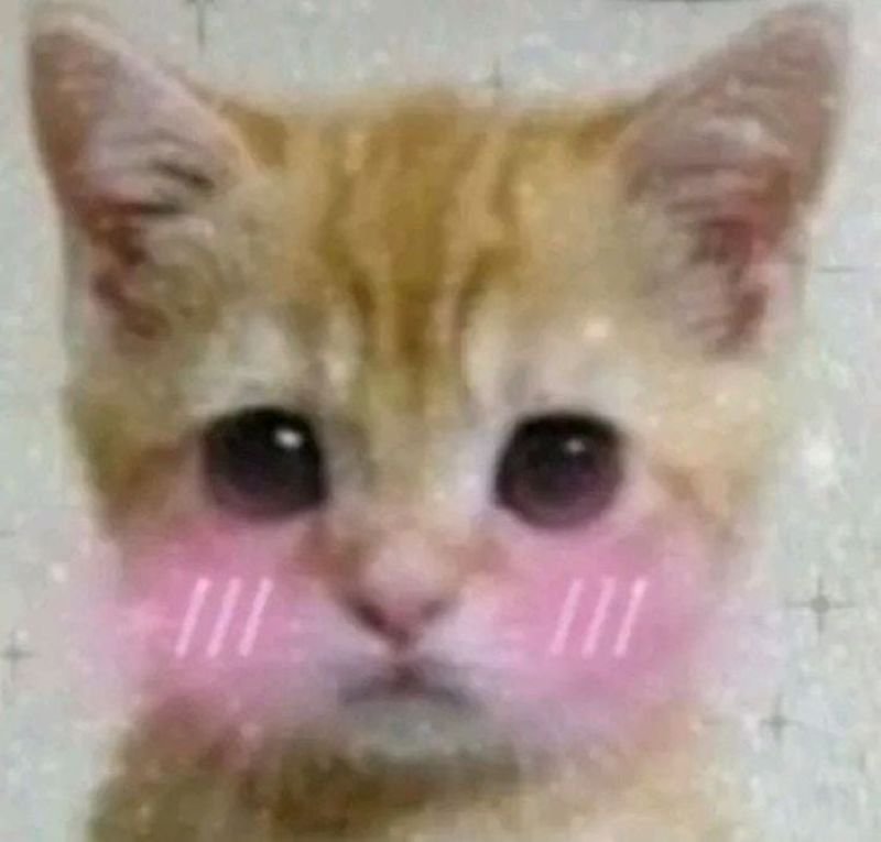meme ngại khi nói chuyện với crush