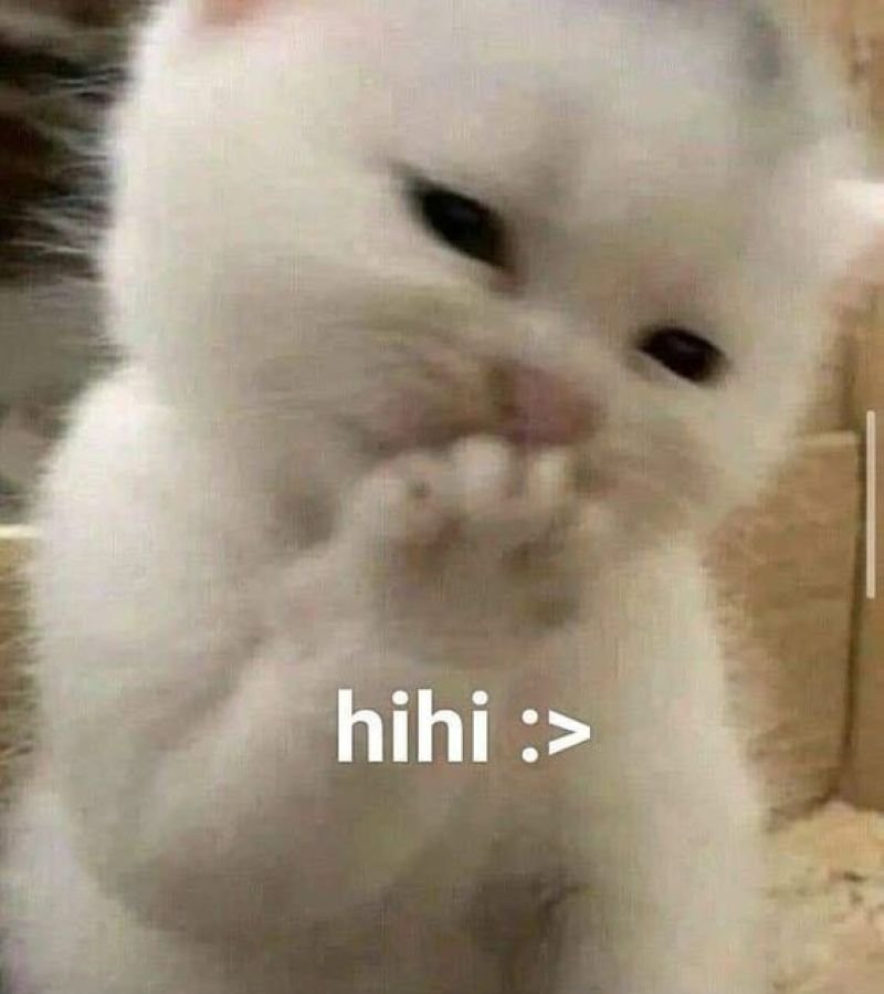 meme ngại khi vô tình chạm mặt