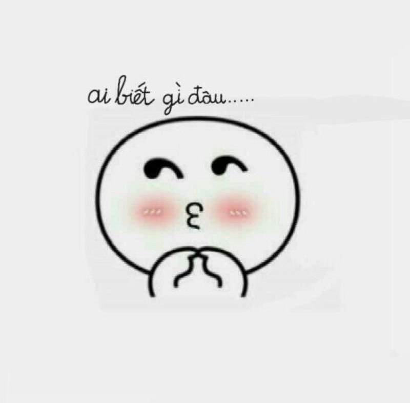 meme ngại ngùng nhìn là muốn cười