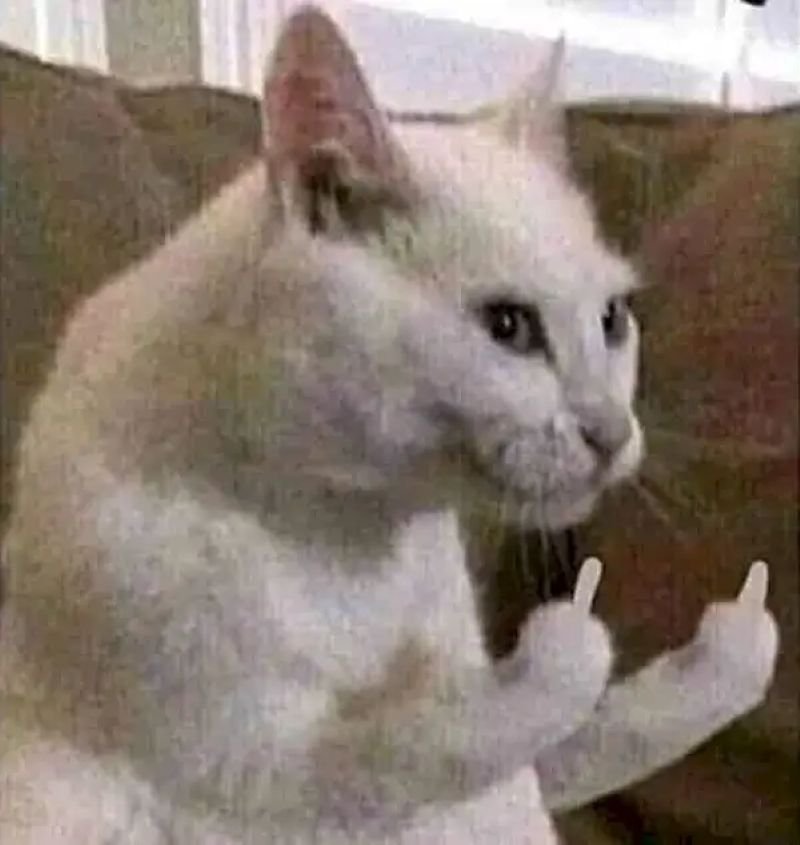 meme ngón giữa cà khịa bạn thân