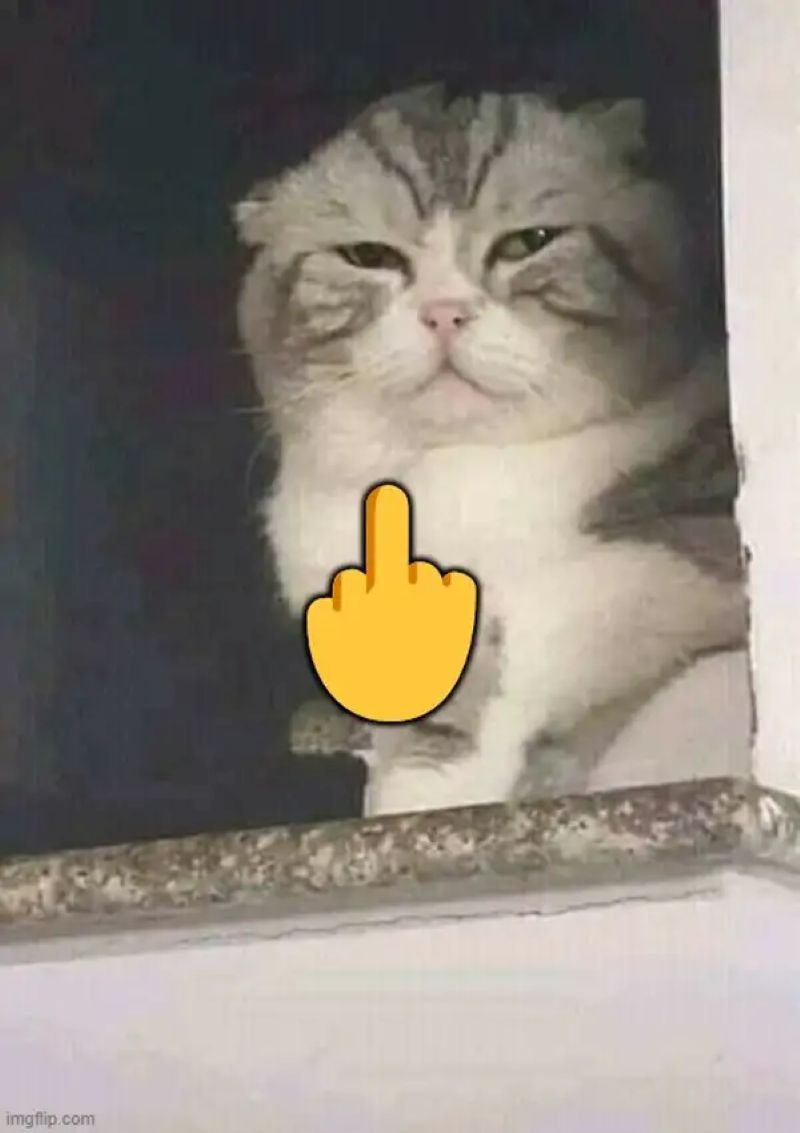 meme ngón giữa hài hước cực viral