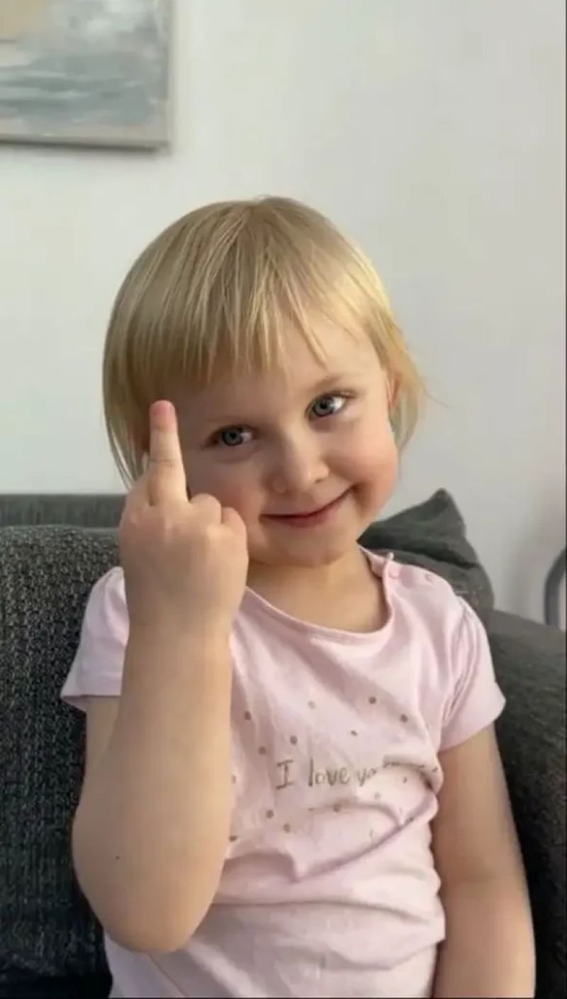meme ngón giữa thể hiện thái độ cực chất