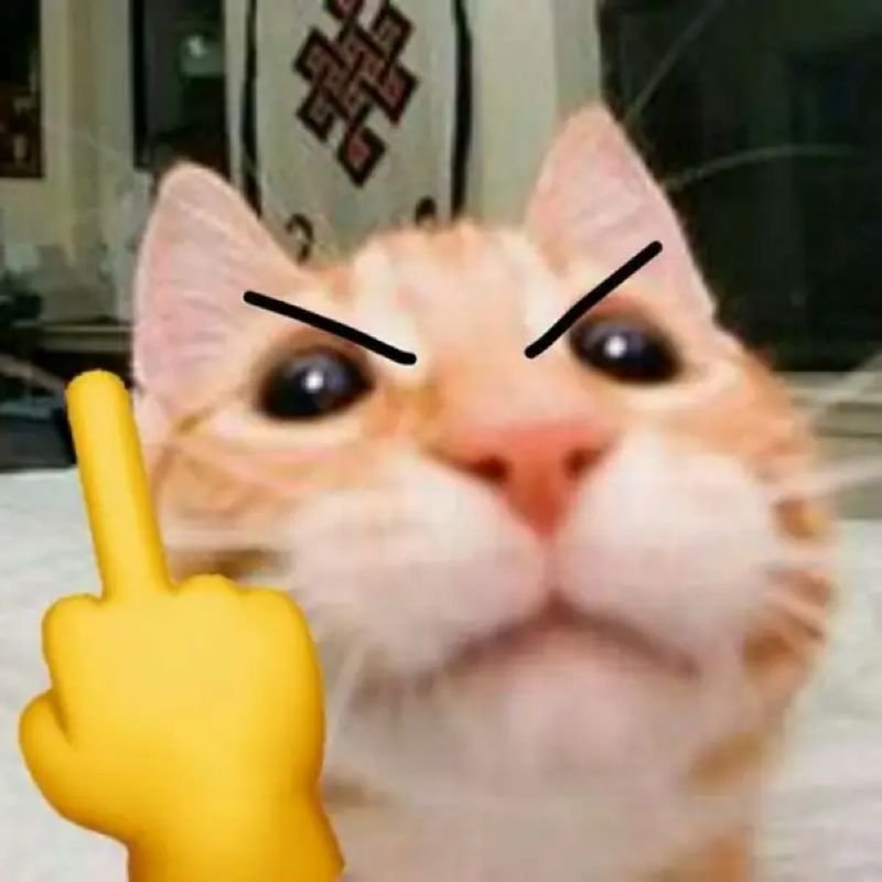 meme ngón giữa troll cực mạnh hôm nay