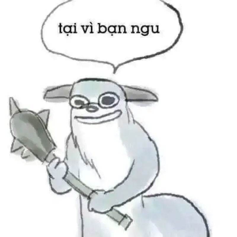 meme ngu bieu cam cuc hai meme ngu bieu cam cuc hai