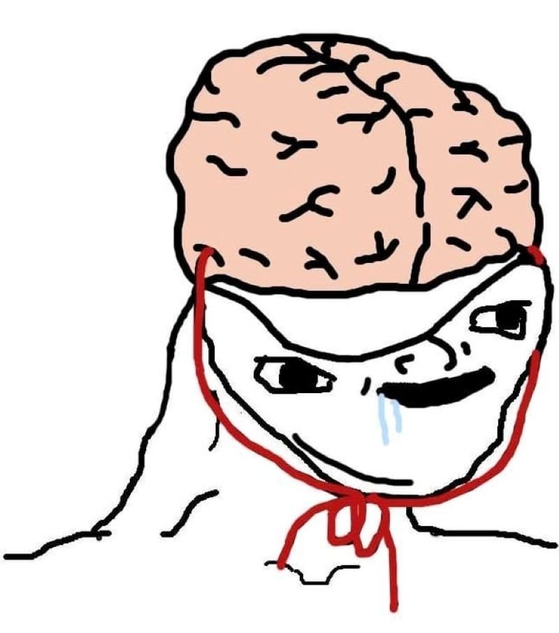 meme ngu bieu cam khong do noi meme ngu bieu cam khong do noi