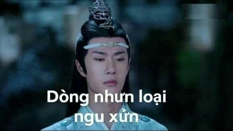 meme ngu bieu cam khong the tin meme ngu bieu cam khong the tin