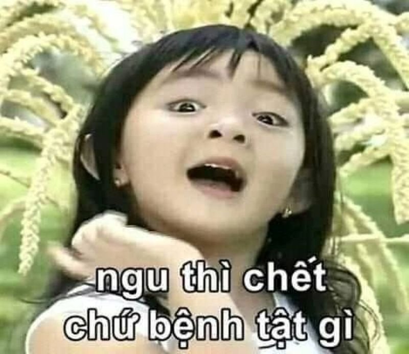 meme ngu bieu cam sieu hai meme ngu bieu cam sieu hai