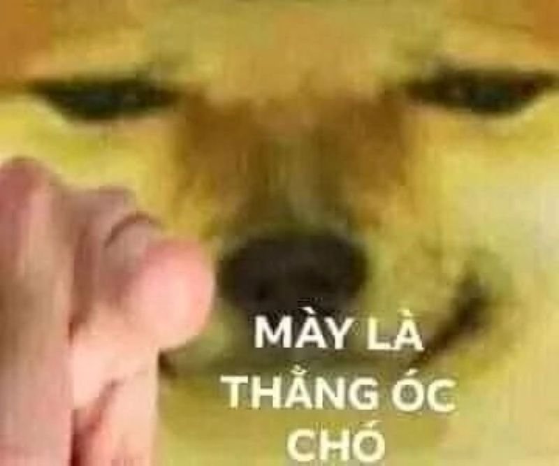 meme ngu cuoi ra nuoc mat meme ngu cuoi ra nuoc mat