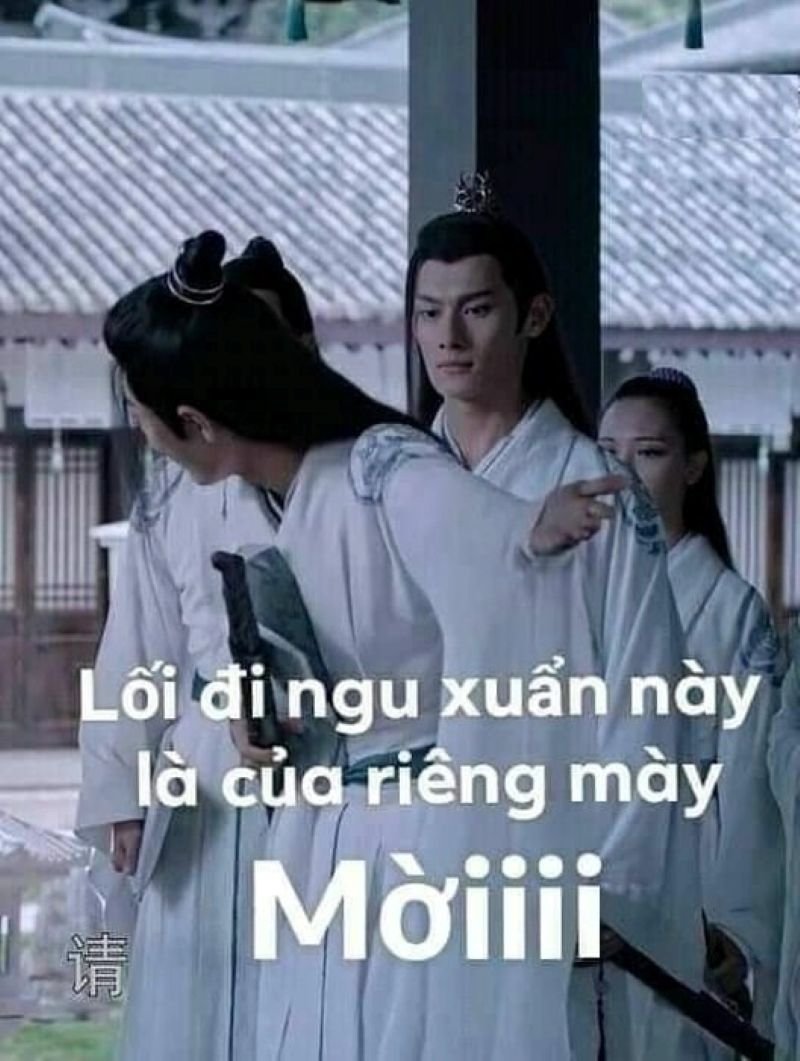 meme ngu hai huoc moi ngay meme ngu hai huoc moi ngay