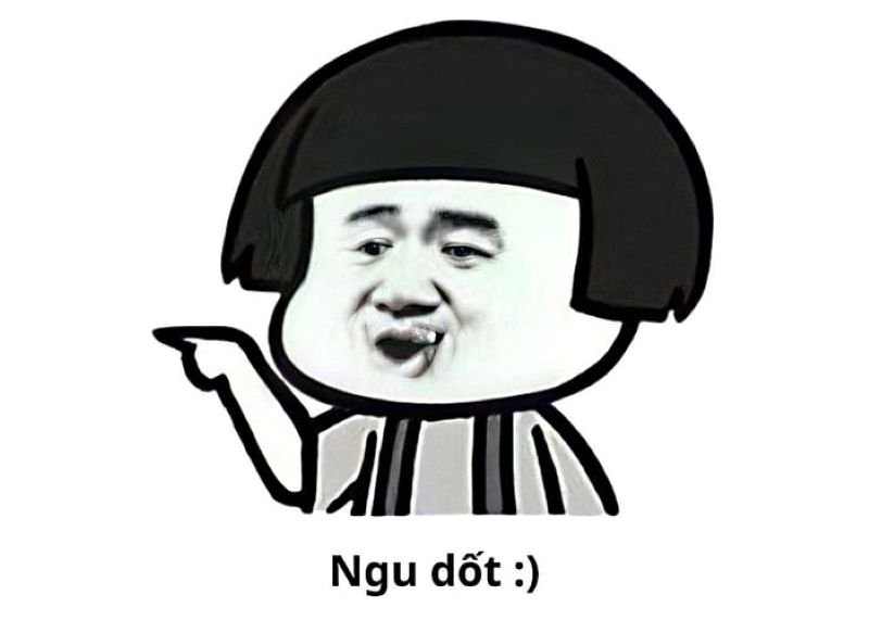 meme ngu hai huoc tren mang meme ngu hai huoc tren mang
