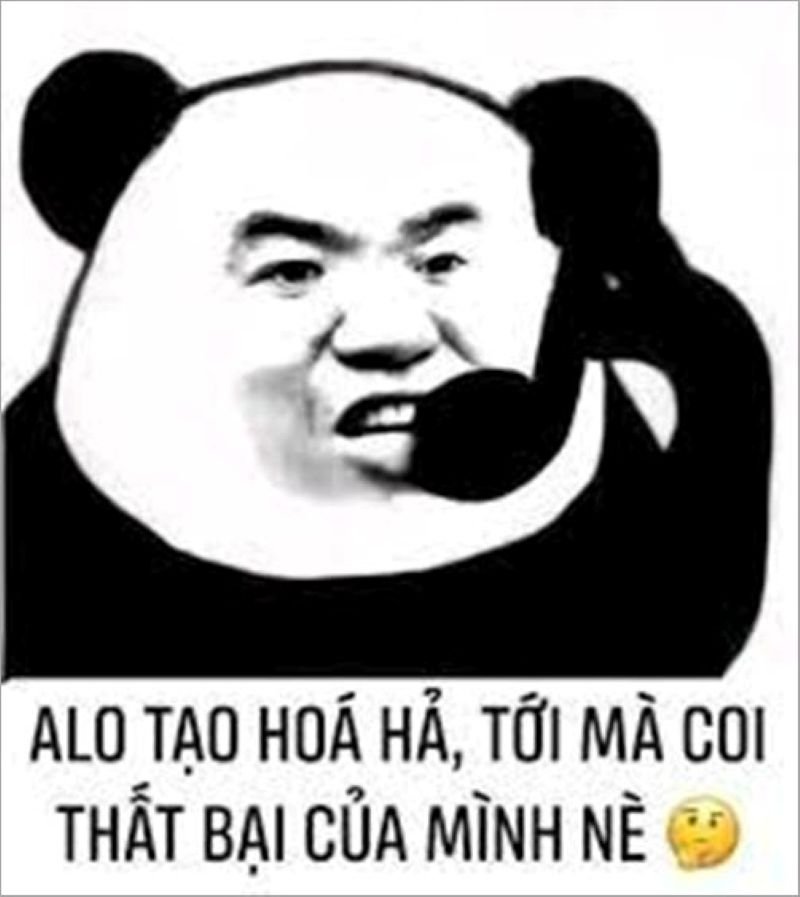 meme ngu khi gap tinh huong kho do meme ngu khi gap tinh huong kho do