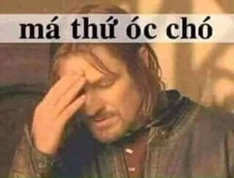 meme ngu khi nao cung gap meme ngu khi nao cung gap