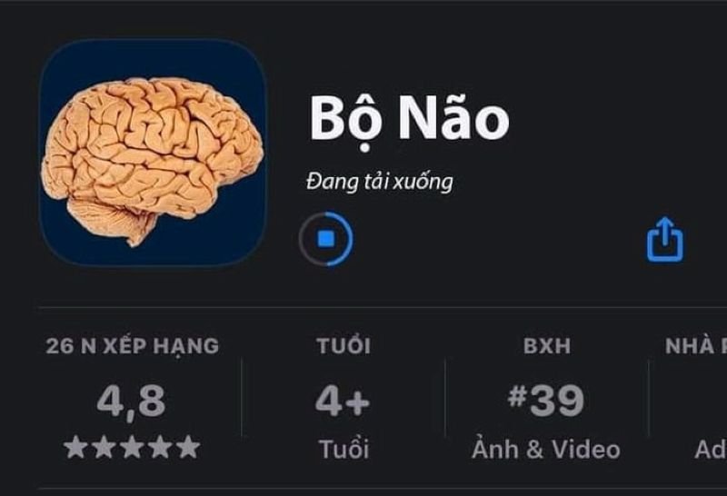 meme ngu kho do bat ngo meme ngu kho do bat ngo