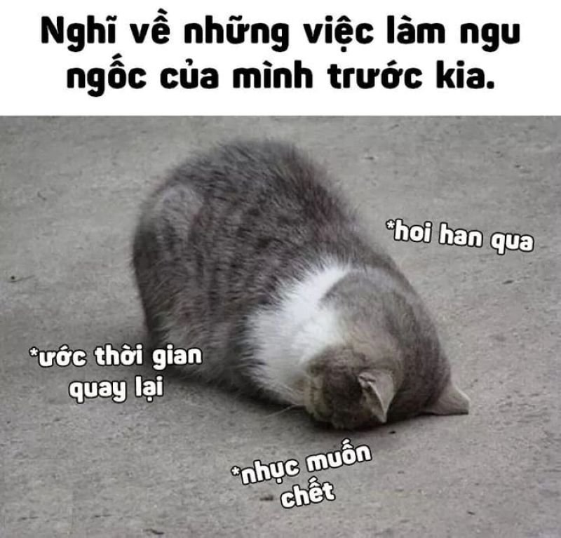 meme ngu kho do cuc manh meme ngu kho do cuc manh