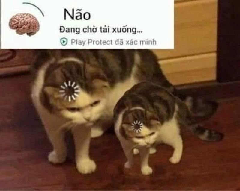 meme ngu kho do nhat mang meme ngu kho do nhat mang