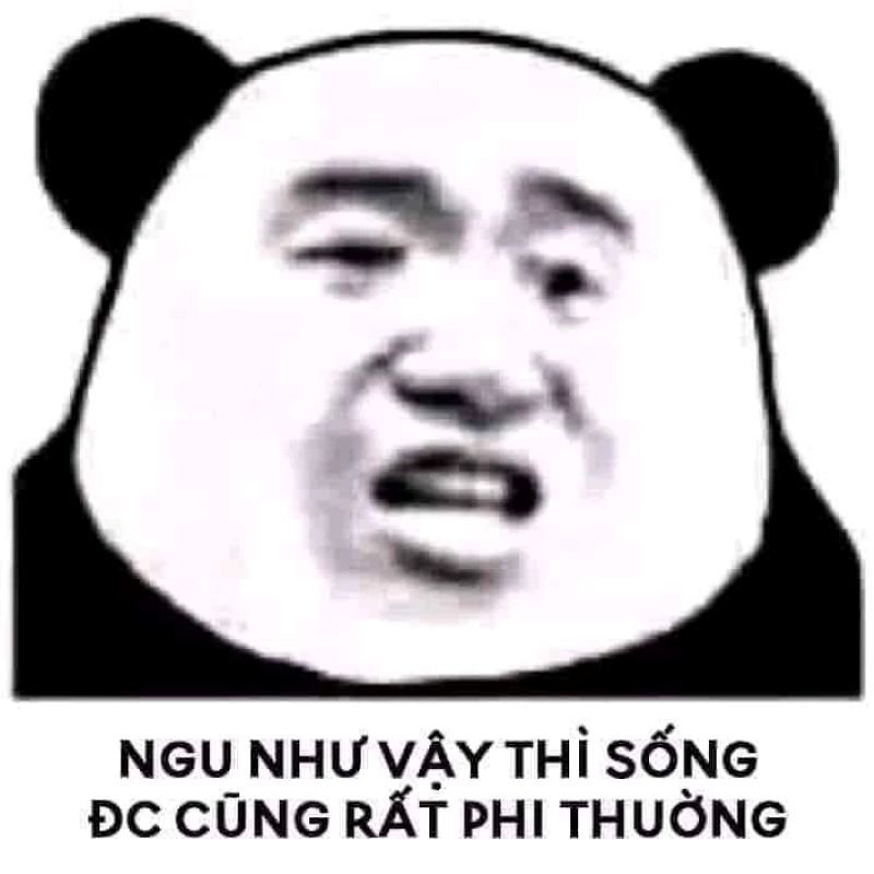 meme ngu kho do tren facebook meme ngu kho do tren facebook