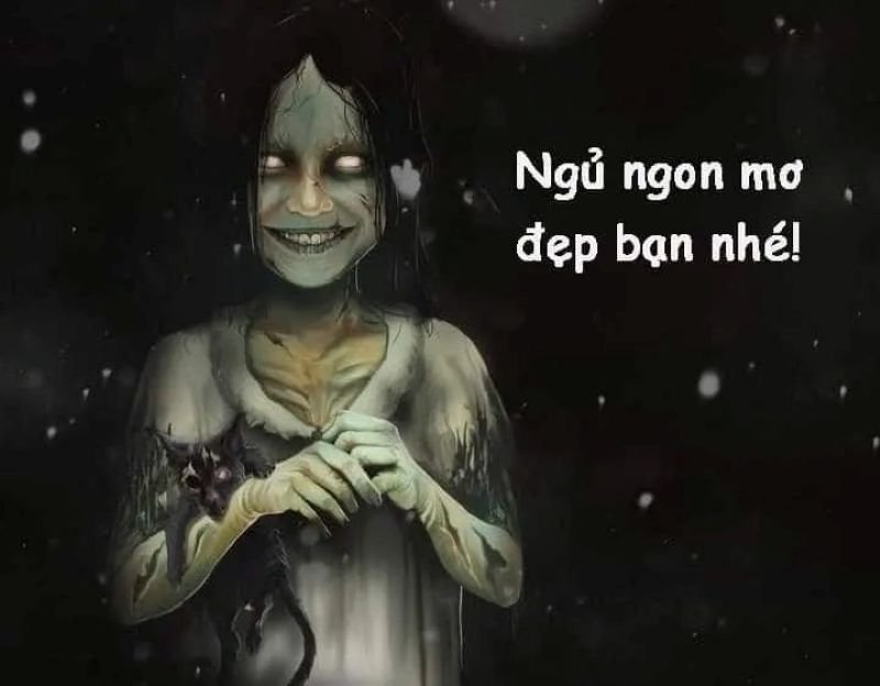 meme ngủ ngon bá đạo cho bạn bè