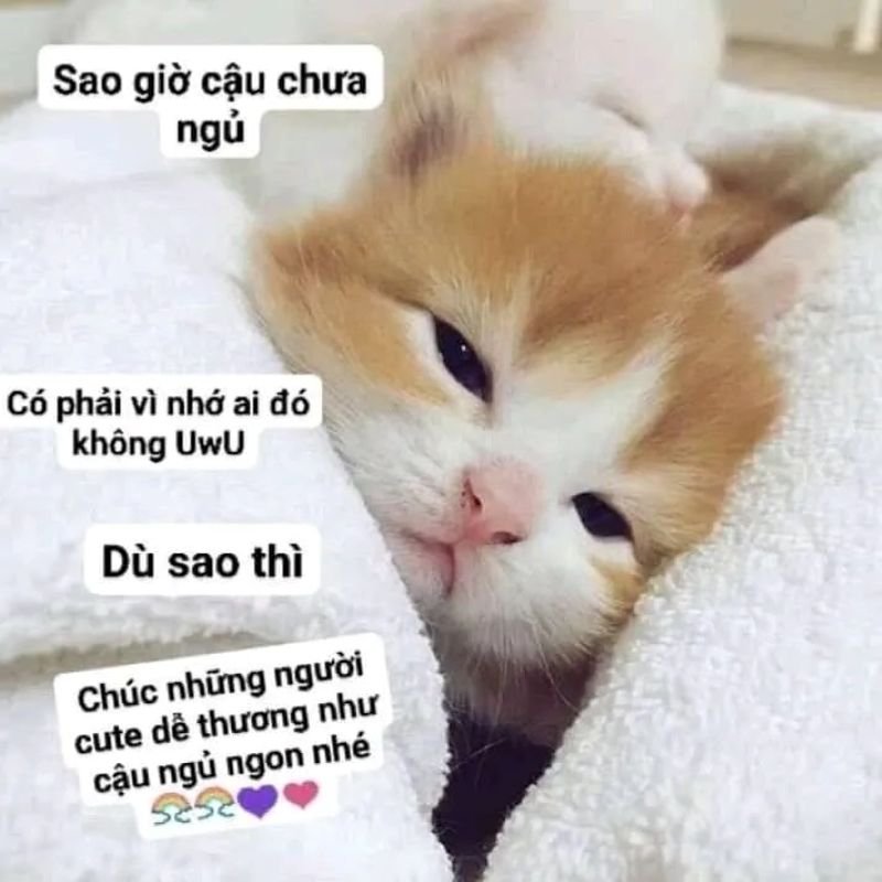 meme ngủ ngon cực hài cho dân mạng