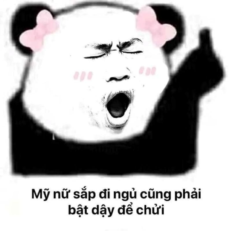 meme ngủ ngon cute khiến bạn bật cười