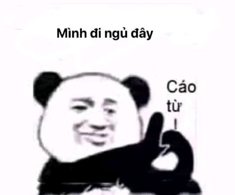 meme ngủ ngon hài hước xem là mê