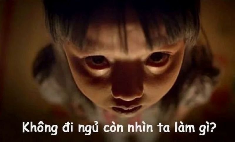 meme ngủ ngon nhìn là muốn ngủ