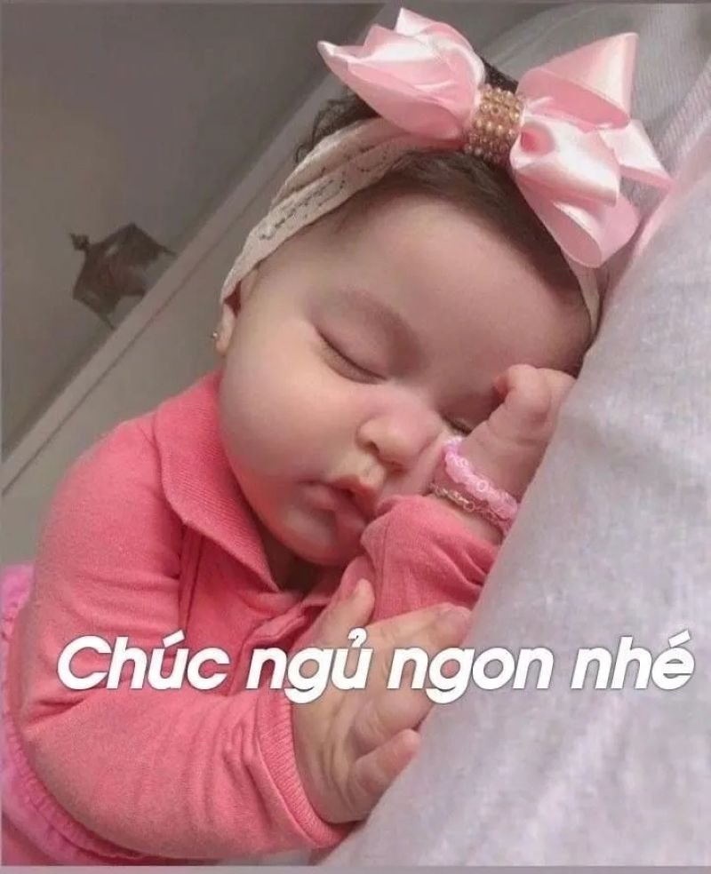meme ngủ ngon siêu dễ thương mỗi đêm
