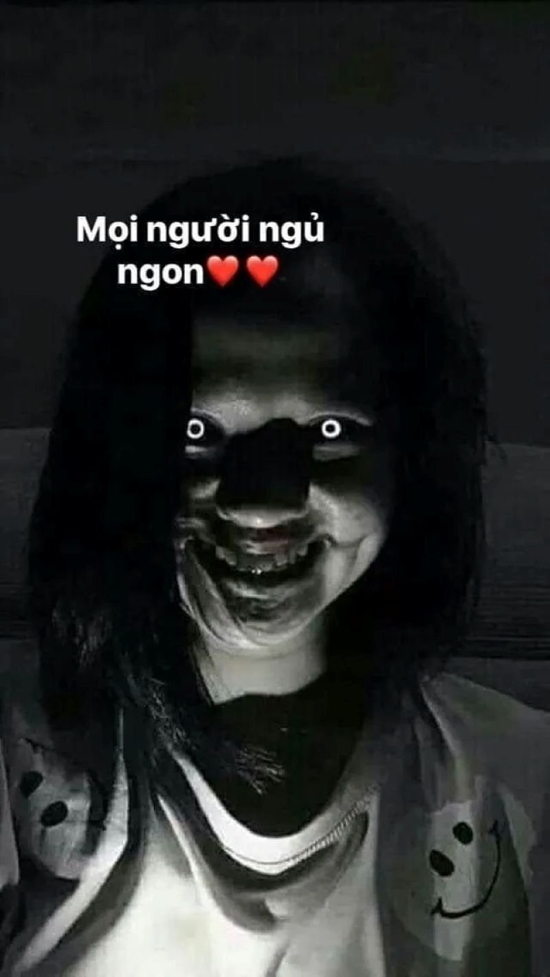 meme ngủ ngon siêu lầy trước khi ngủ
