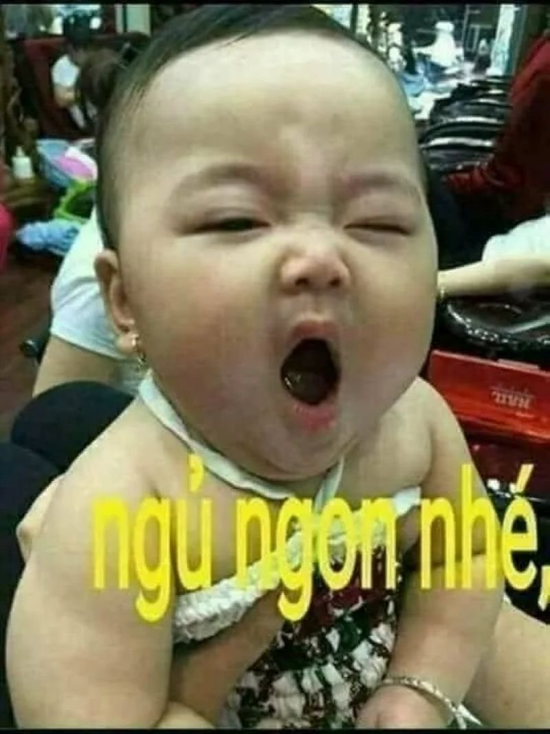 meme ngủ ngon troll cực hài trước khi ngủ