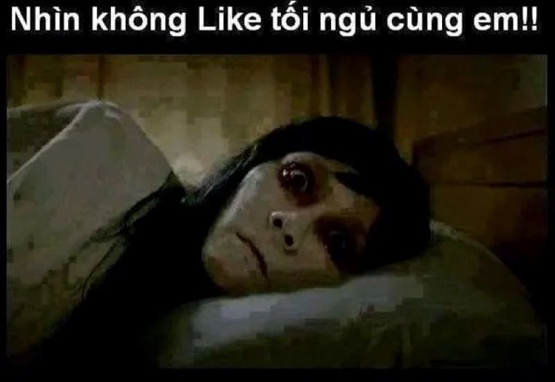 meme ngủ ngon vui nhộn mỗi tối