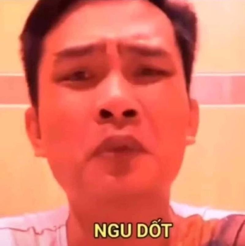 meme ngu voi bieu cam ba dao meme ngu voi bieu cam ba dao