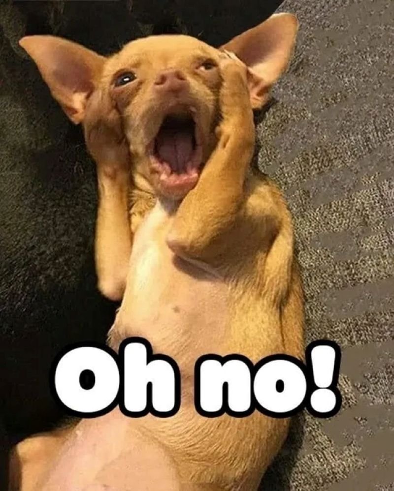 meme no hài hước đầy tính giải trí meme no hài hước đầy tính giải trí