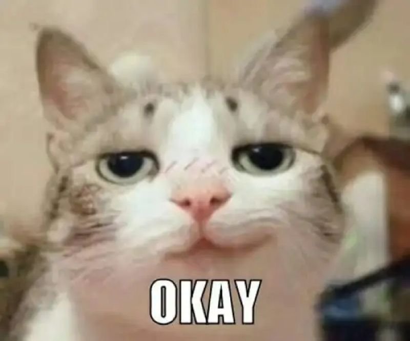 meme ok ảnh chế cực kỳ hài meme ok ảnh chế cực kỳ hài
