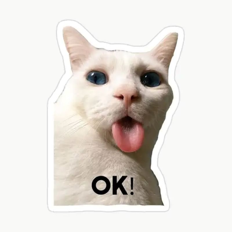 meme ok biểu cảm hài viral mạng meme ok biểu cảm hài viral mạng
