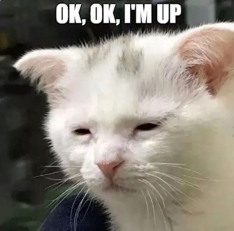 meme ok biểu cảm khiến dân mạng cười meme ok biểu cảm khiến dân mạng cười